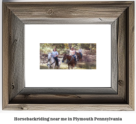 horseback riding near me in Plymouth, Pennsylvania